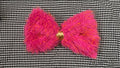 pink monster bow